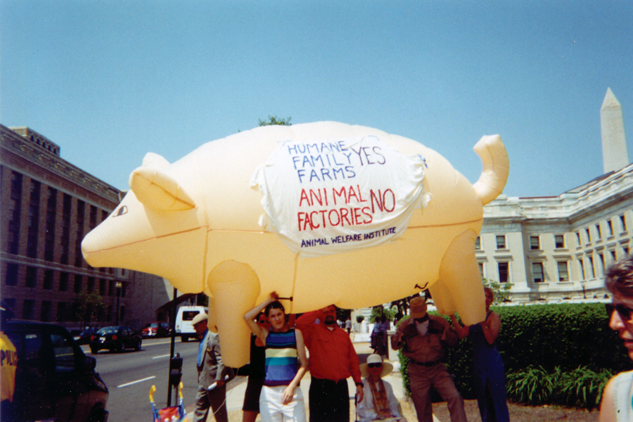 Factory Farms Protest