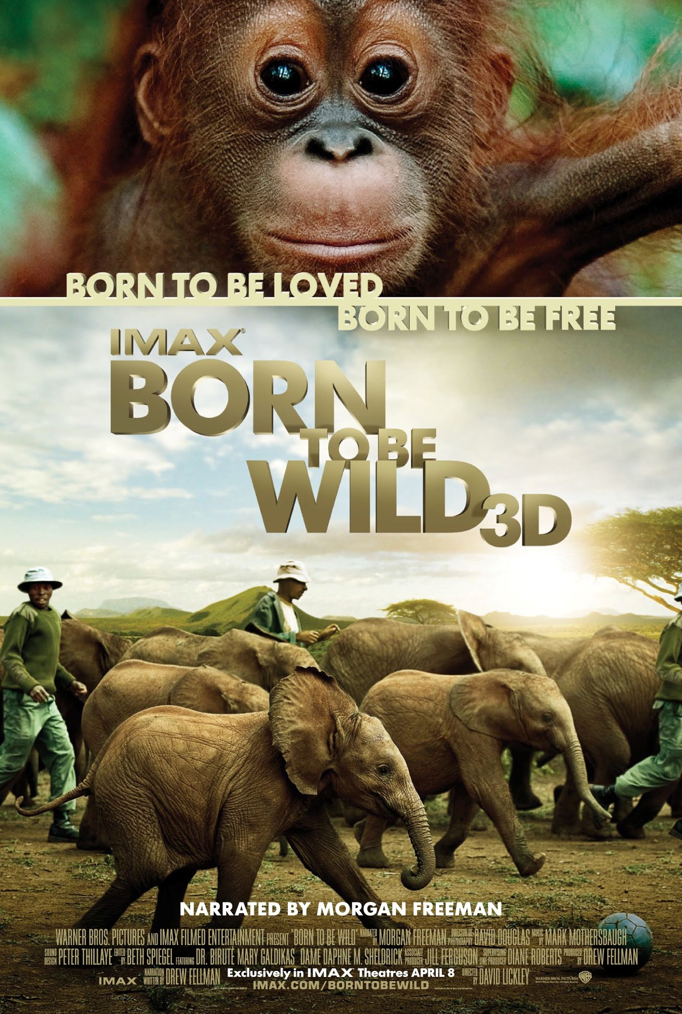 born to be wild movie cover