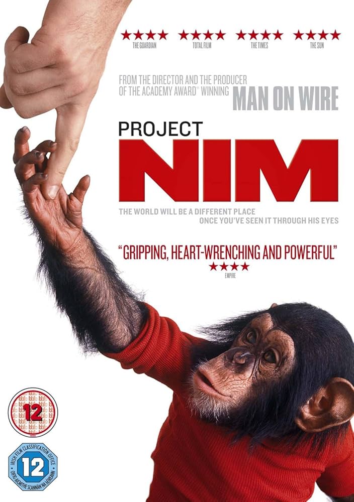 young chimp holding a human hand