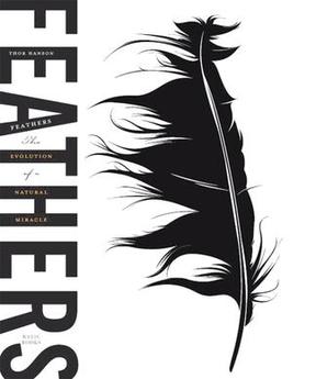 illustrated black feather
