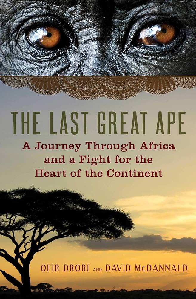 eyes of ape above an African landscape