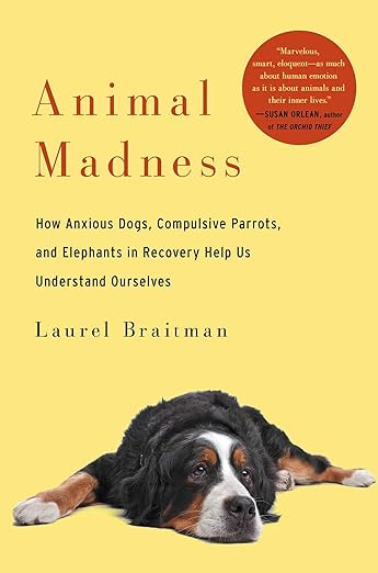 dog lays down at the bottom of book cover