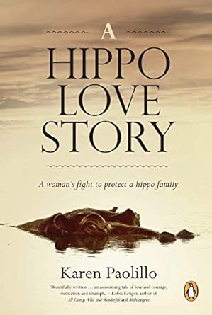 hippo sticks eyes out of the water