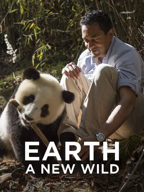 man sits behind a panda eating bamboo