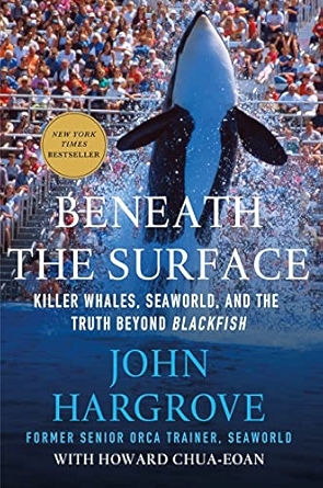a performing orca leaps out of the water in front of a crowd