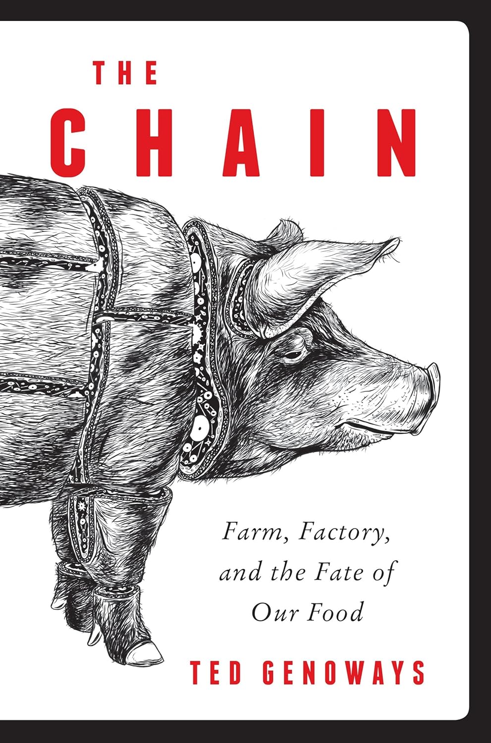 deconstructed illustration of pig