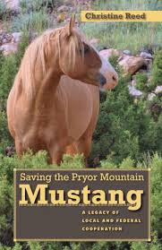 a mustang looks out upon a lush western landscape