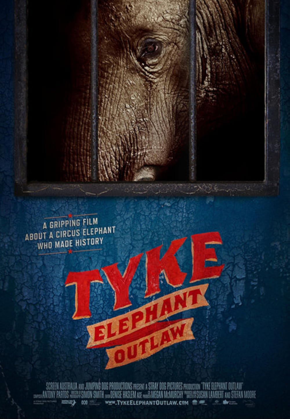 elephant looks longingly behind bars