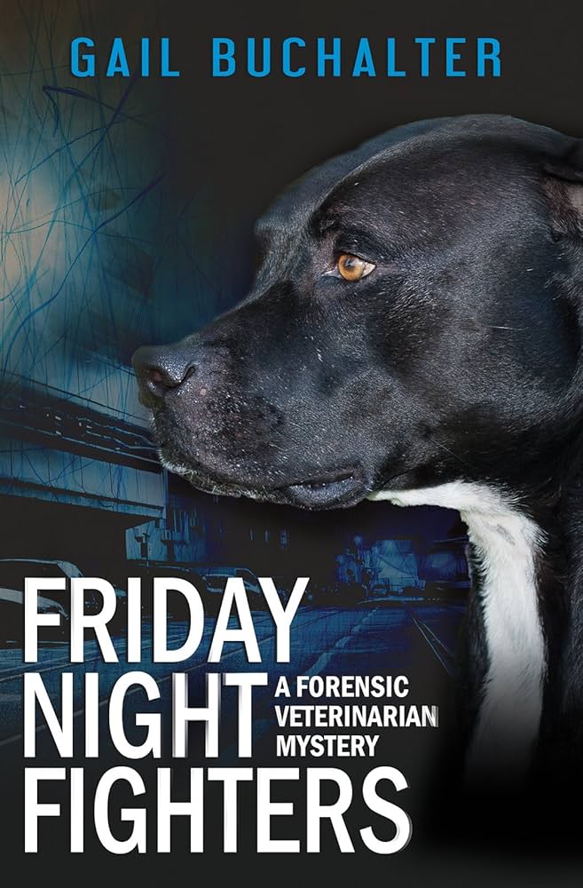 Friday night fighters cover