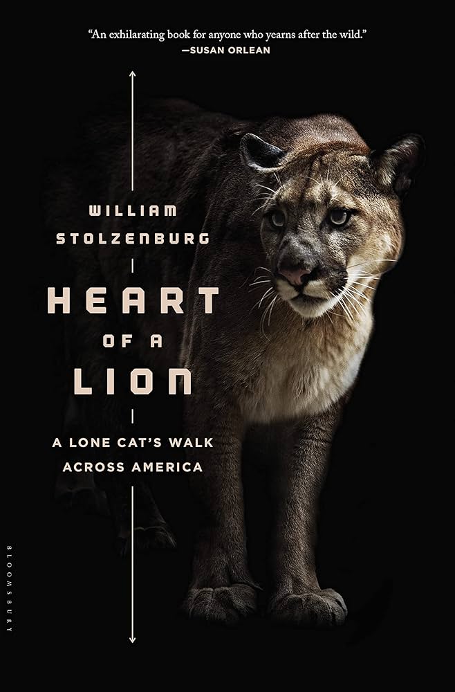 heart of a lion book cover
