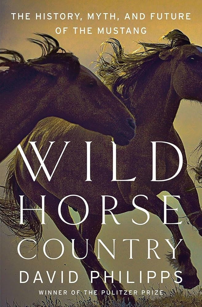 two wild horses gallop