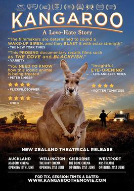 kangaroo stands in outback environment