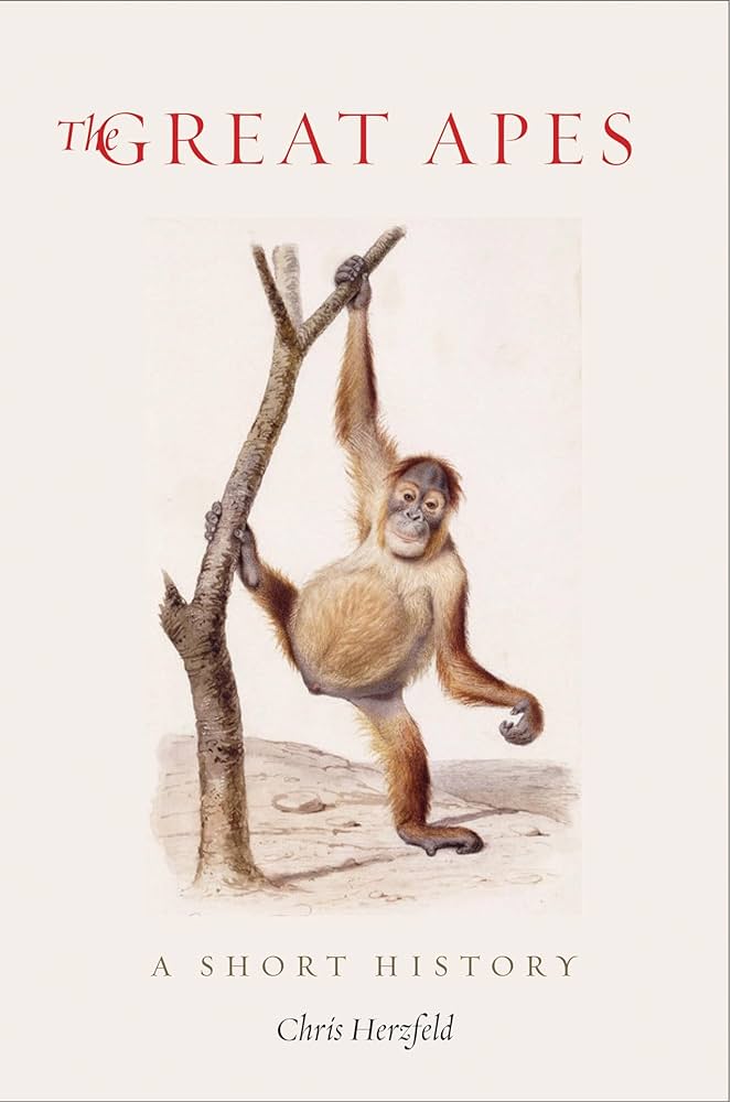 illustrated ape grapples a tree