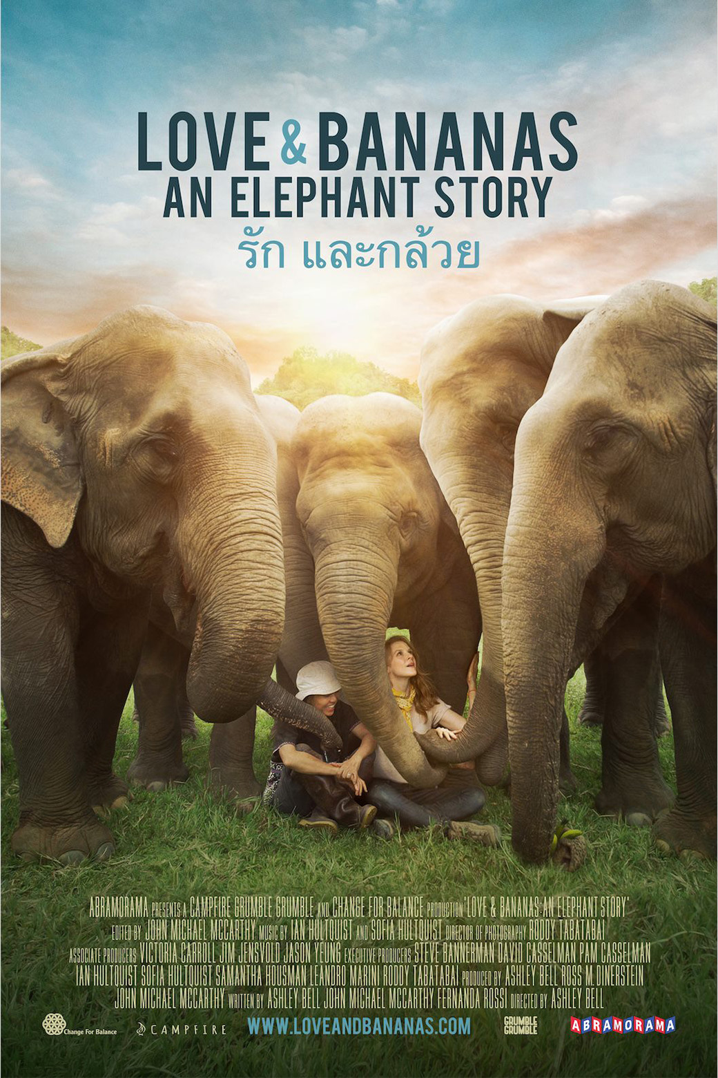group of elephants surround wildlife enthusiasts
