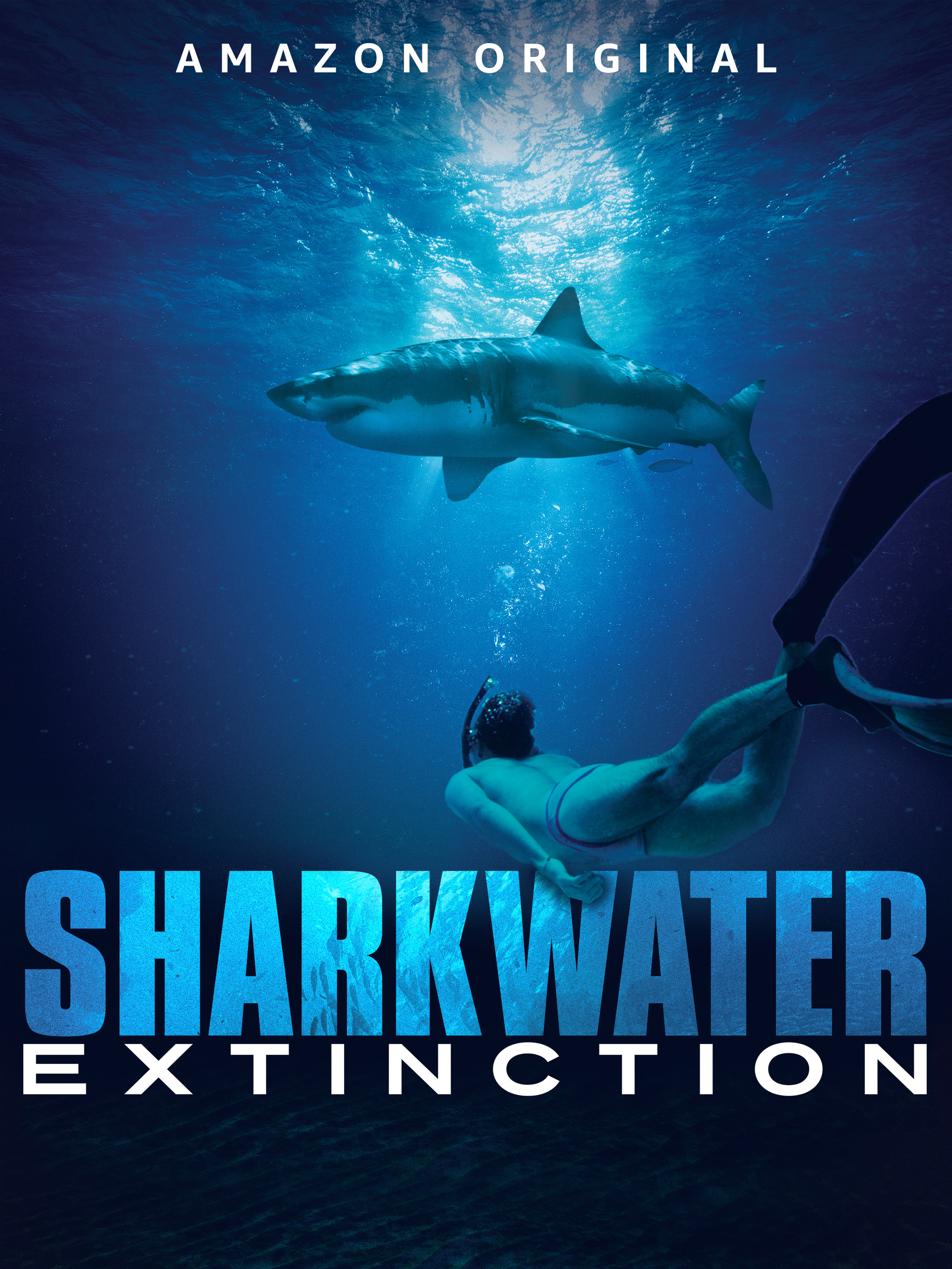 shark swims in blue water as diver watches from below