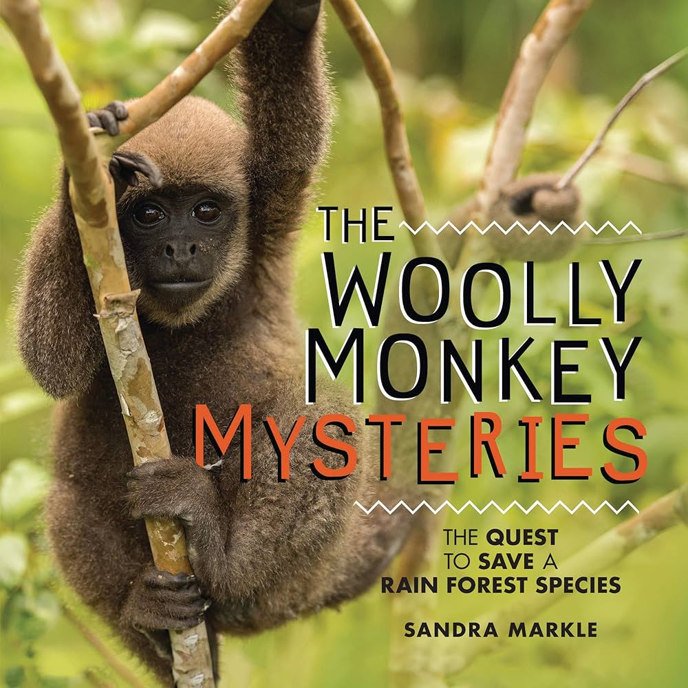 woolly monkey sits in tree