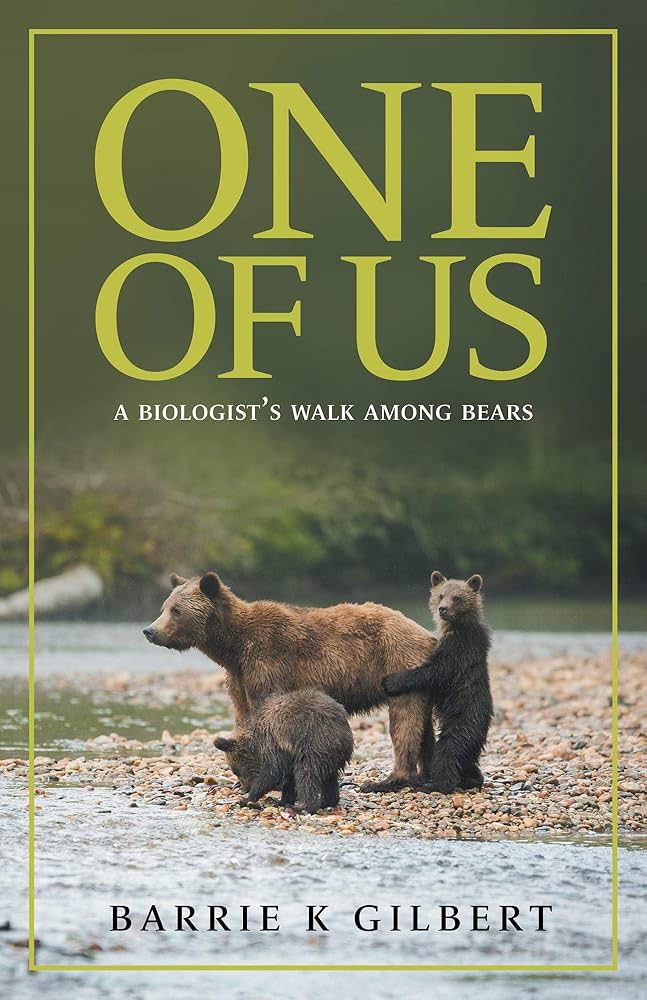 bear and two cubs sit by a river