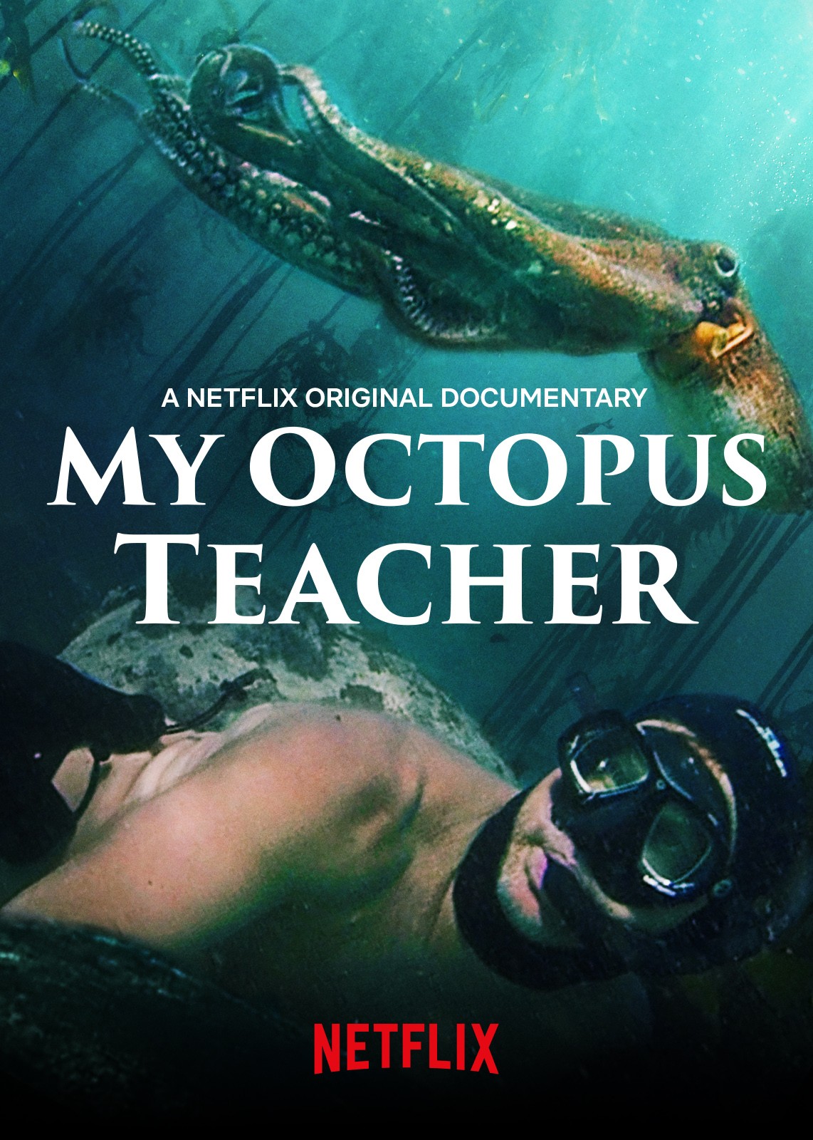 scuba diver swims with octopus above head