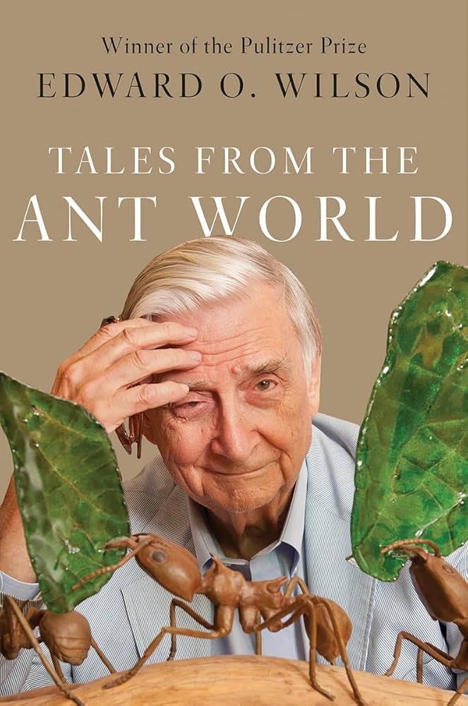 author sits in front of ants
