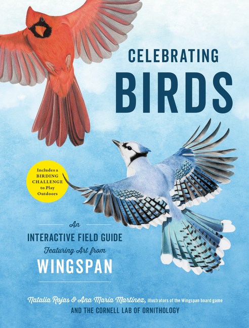 illustrated cardinal and bluejay fly in air