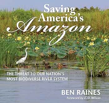 small heron sits on swamp water brush