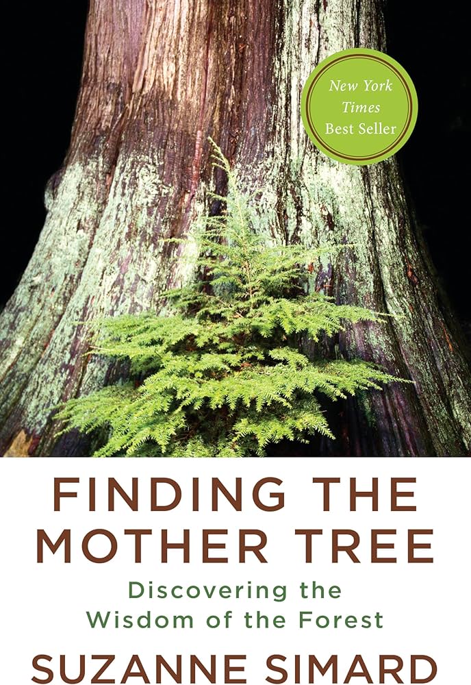 a tree's base fosters a smaller tree