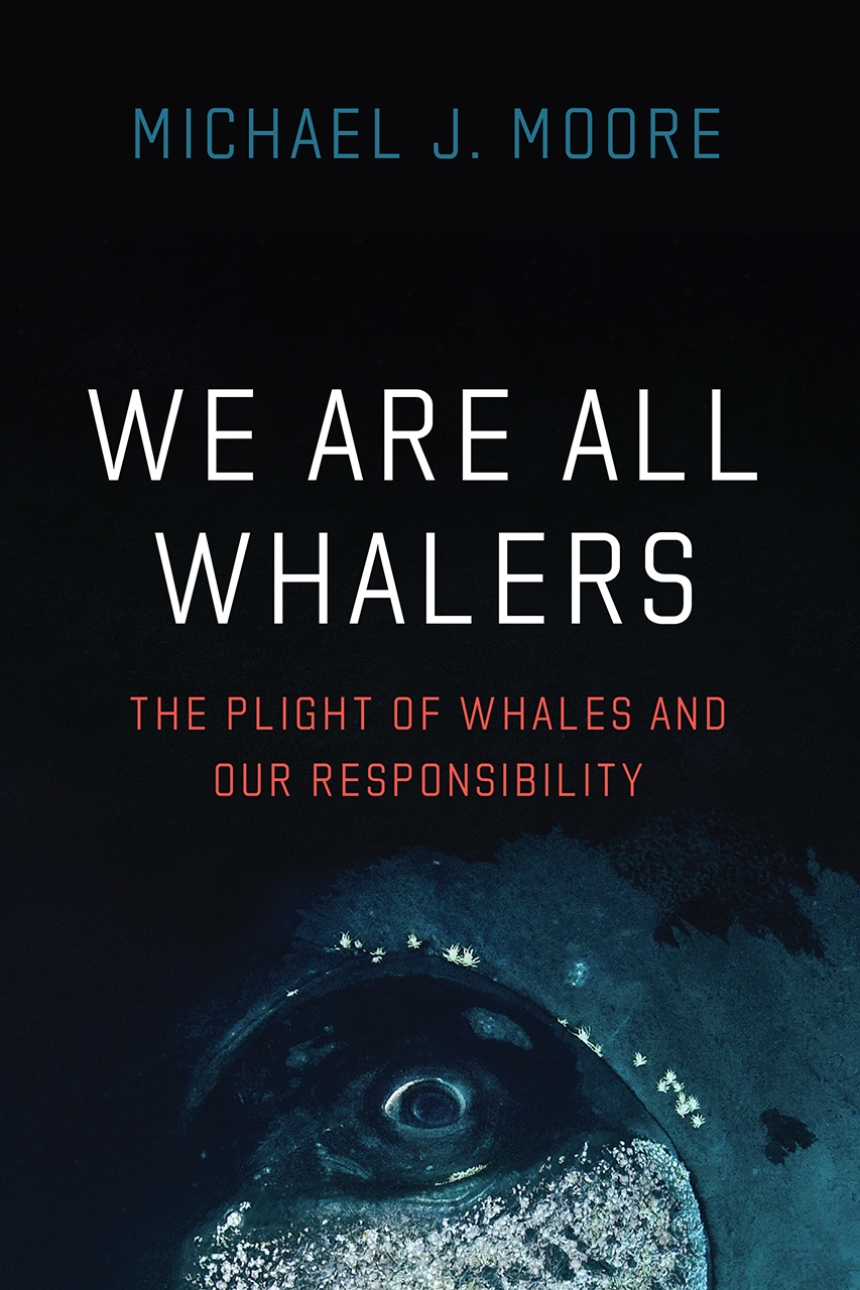 light blue whale's eye looks forward
