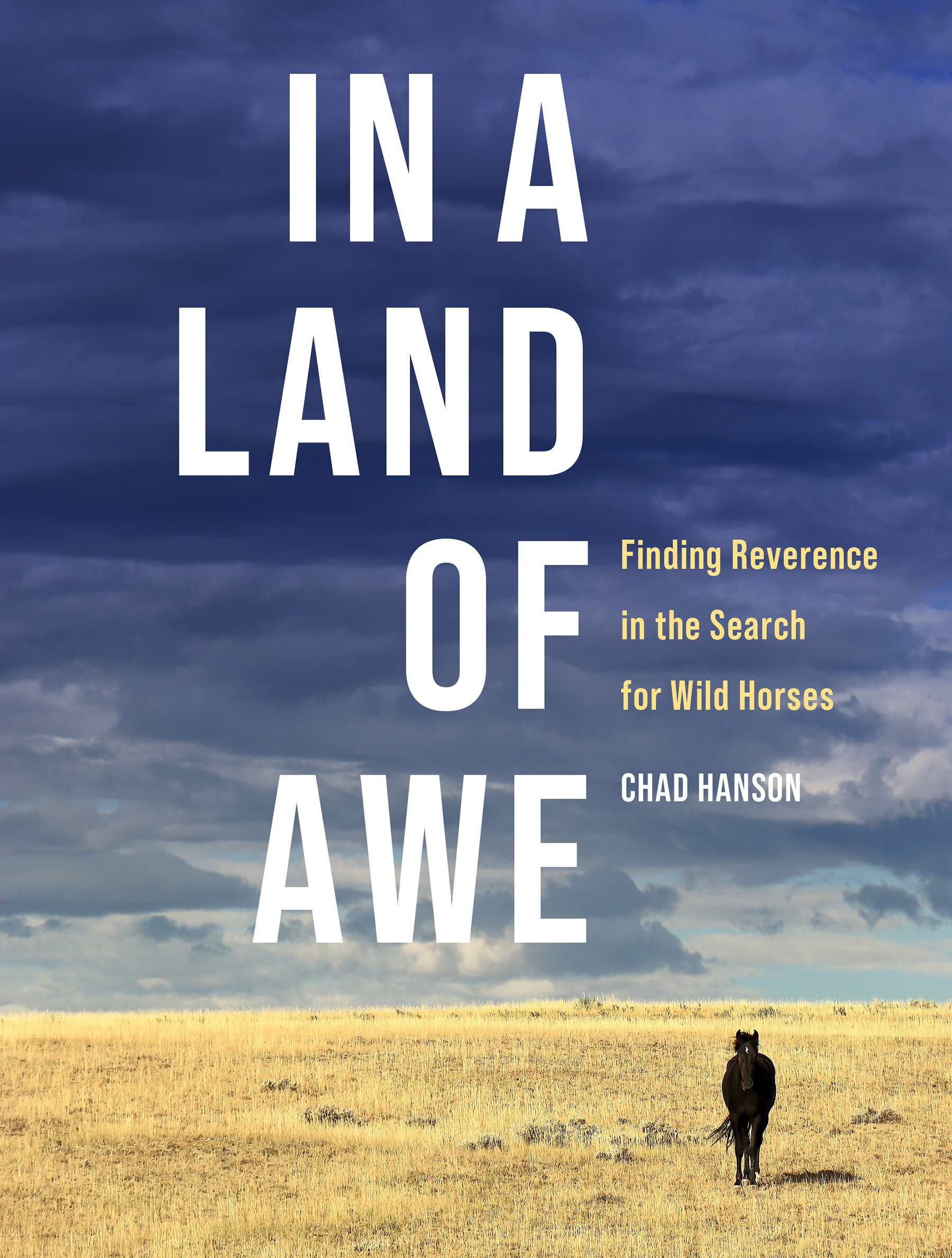 a lone horse walks forward through a vast open prairie
