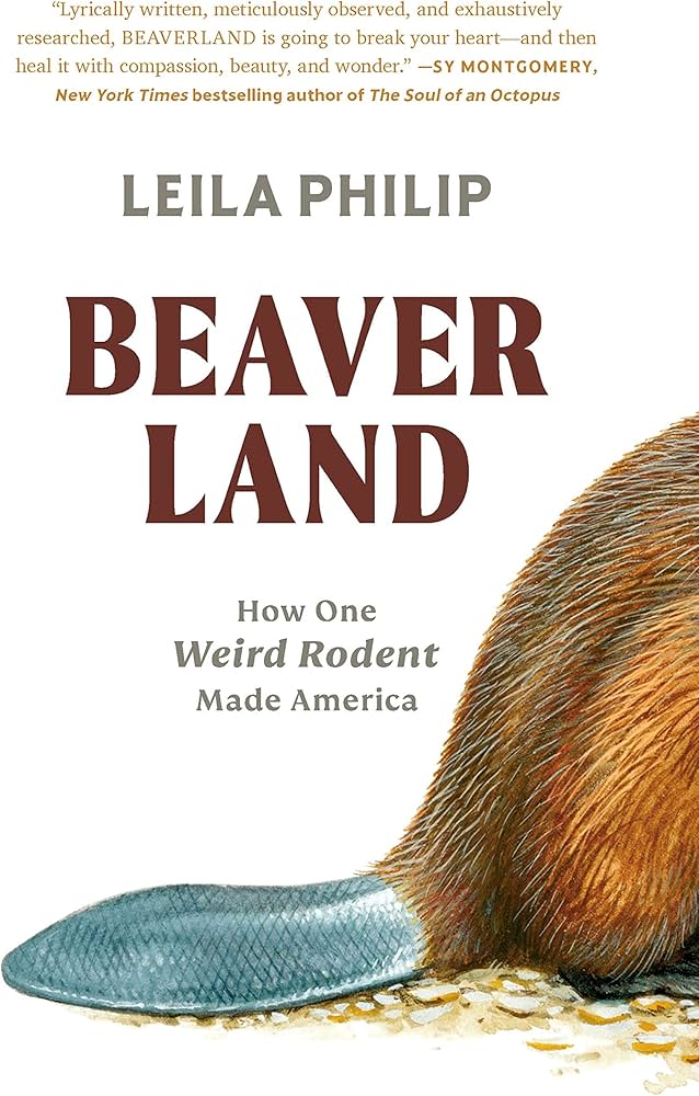 tail of a beaver sticking out