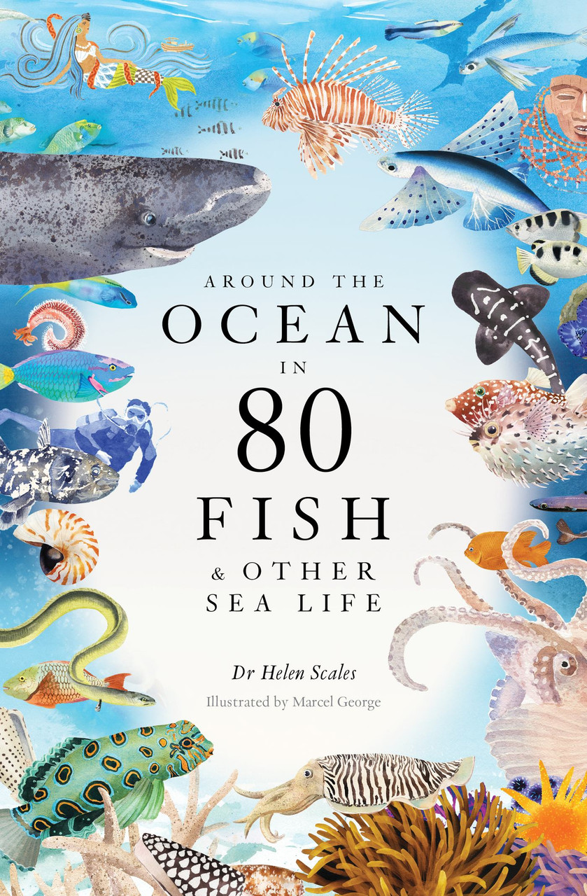 a variety of sea animals surround title text