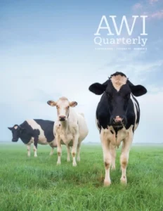 three cows stand in an open pasture