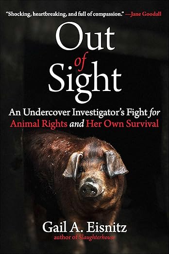 Out of SIght Book Cover