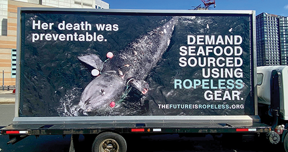 a truck advertisement demands seafood companies to use ropeless gear, showing a dead whale