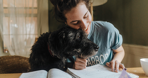 dog comforts girl doing homework
