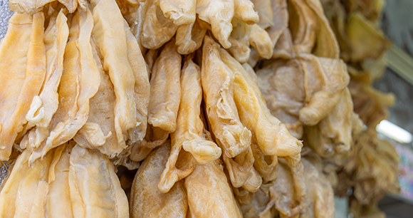 Dry fish maw hanging at the store for selling