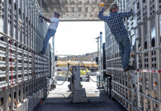 truckers mount and spray animal trailers at a gas station