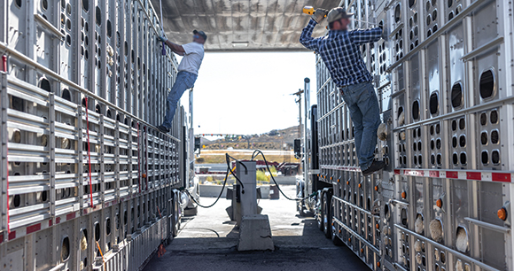 truckers mount and spray animal trailers at a gas station