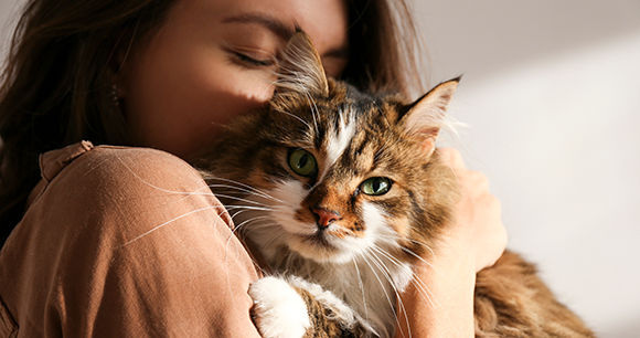 Portrait of young woman holding cute siberian cat with green eyes. Female hugging her cute long hair kitty. Background, copy space, close up. Adorable domestic pet concept.