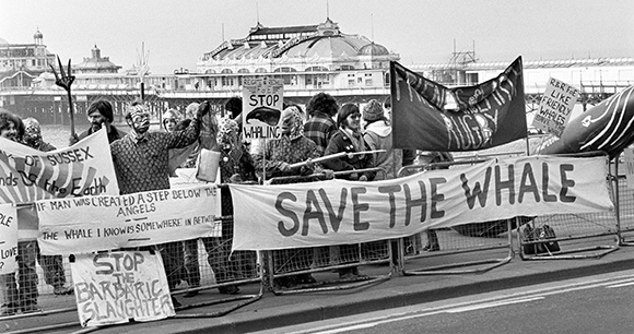save the whale protest from the 1970s