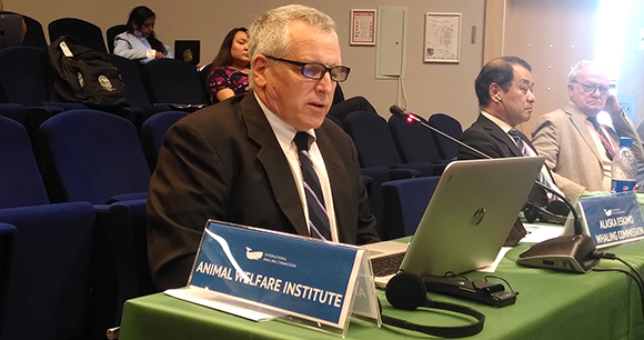 Wildlife biologist DJ Schubert at International Whaling Commission panel