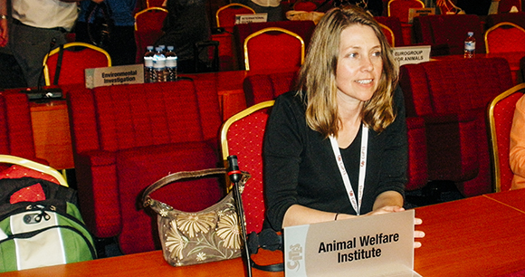 susan millward at the 2010 CITES meeting