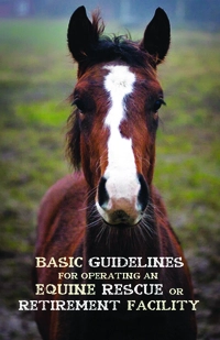 Equine Guidelines