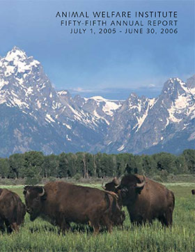buffalo gather on plain in front of large mountain range