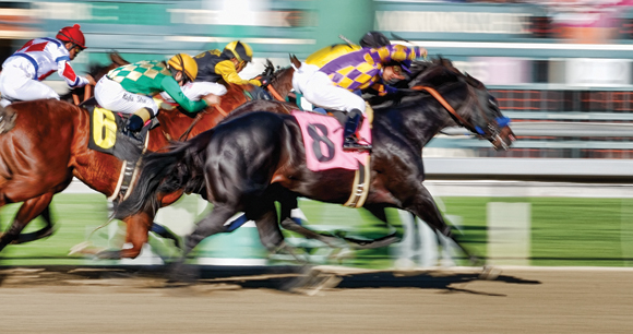 jockeys race horses at a hippodrome