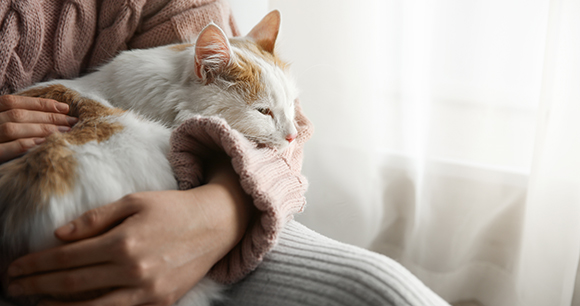 Woman with cute fluffy cat indoors, closeup