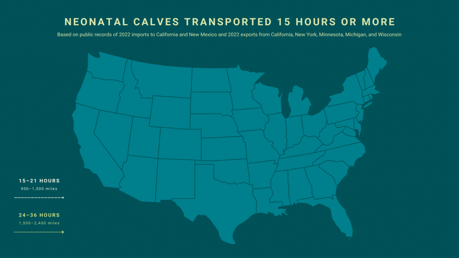 Calf Transport 15+ Hours