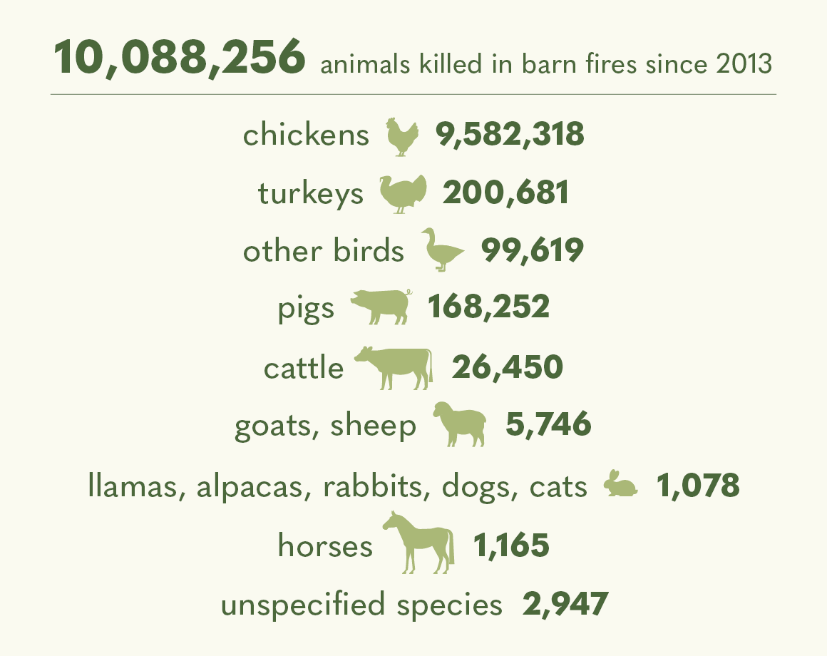 total barn fire deaths by animal since 21013