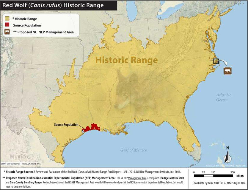 Red wolf historical range with non-essential experimental population management area.