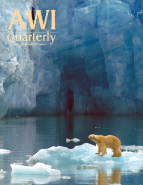 polar bear stands on melting piece of ice