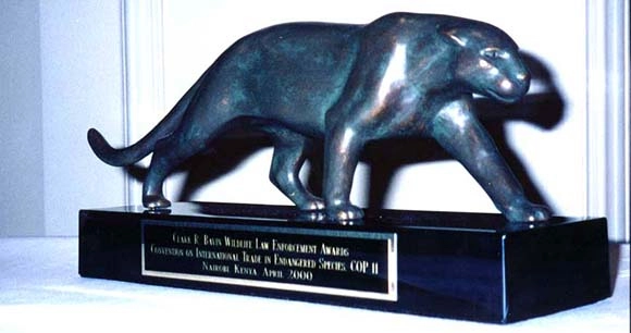 the award sculpture given to the 2000 Clark R. Bavin recipients